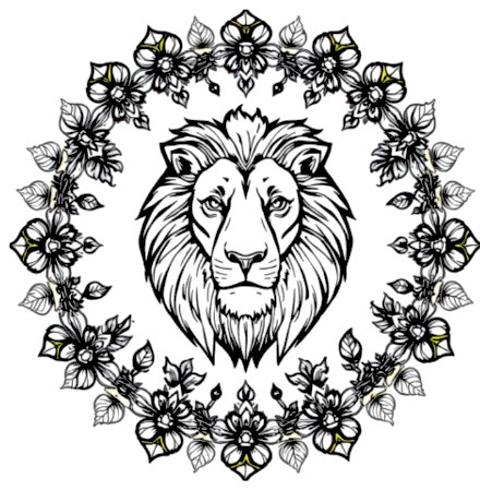 A design from Animal Mandalas