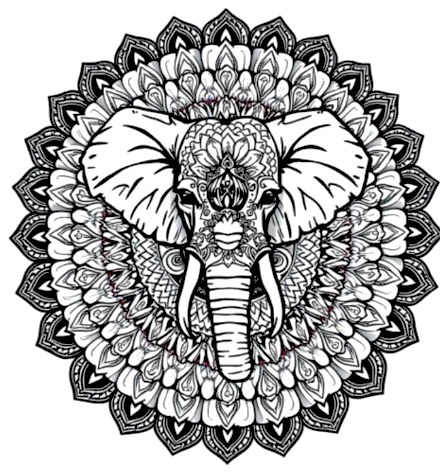 A design from Animal Mandalas