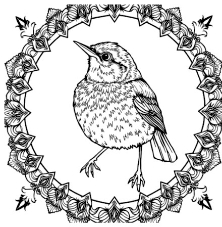 A design from Songbird Mandalas