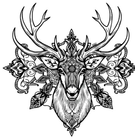 A design from Deer & Stag Mandalas