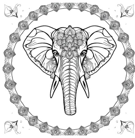 A design from Elephant Mandalas