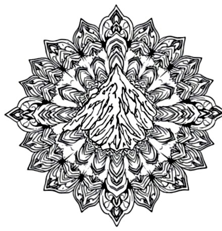 A design from Forest & Mountain Mandalas