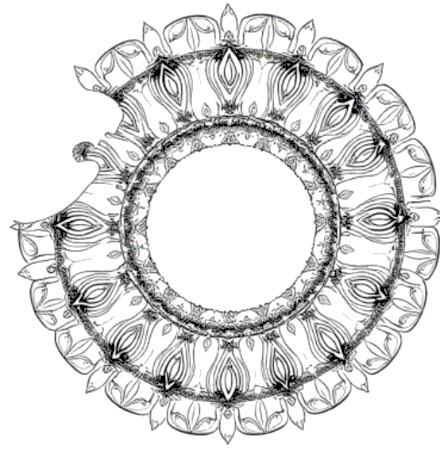 A design from Ocean Wave Mandalas