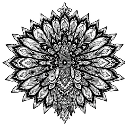 A design from Peacock Mandalas