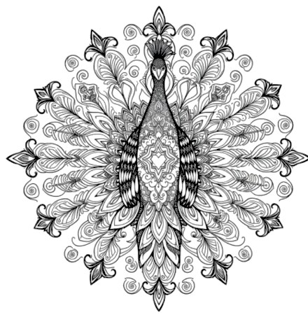 A design from Peacock Mandalas