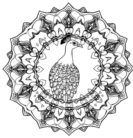 A design from Peacock Mandalas