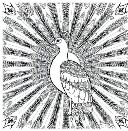 A design from Peacock Mandalas