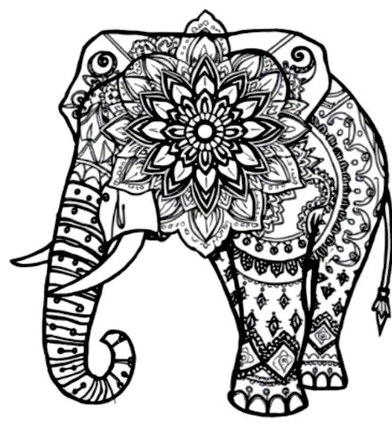 A design from Safari Animal Mandalas