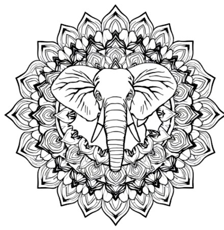 A design from Safari Animal Mandalas