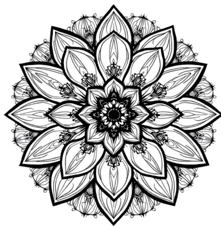 A design from Succulent & Cactus Mandalas