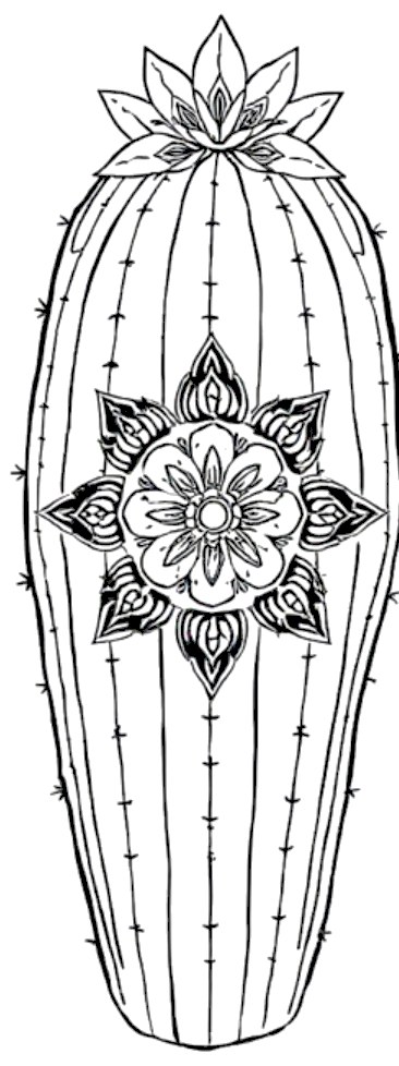 A design from Succulent & Cactus Mandalas