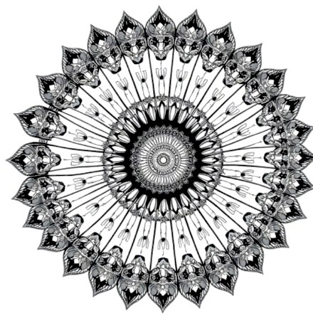 A design from Tropical Leaf Mandalas