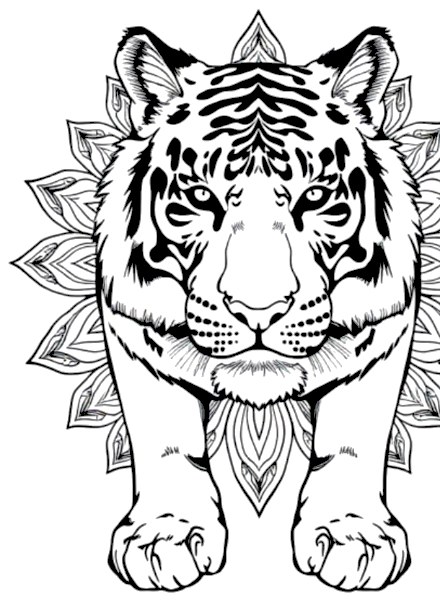 A design from Wild Animal Mandalas