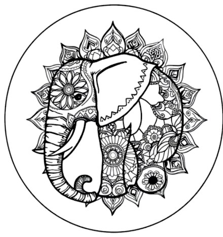 A design from Wild Animal Mandalas