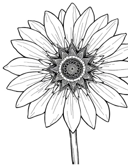 A design from Wildflower Mandalas