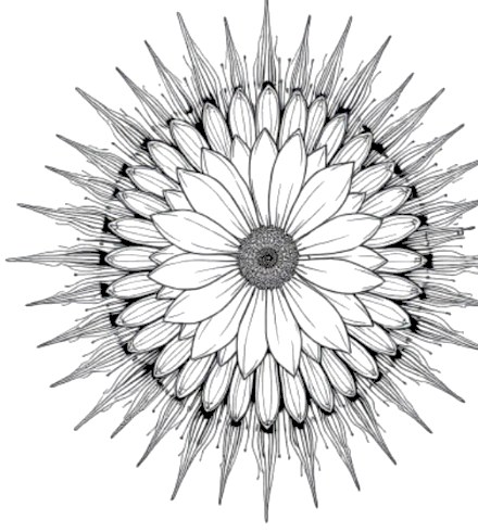 A design from Wildflower Mandalas